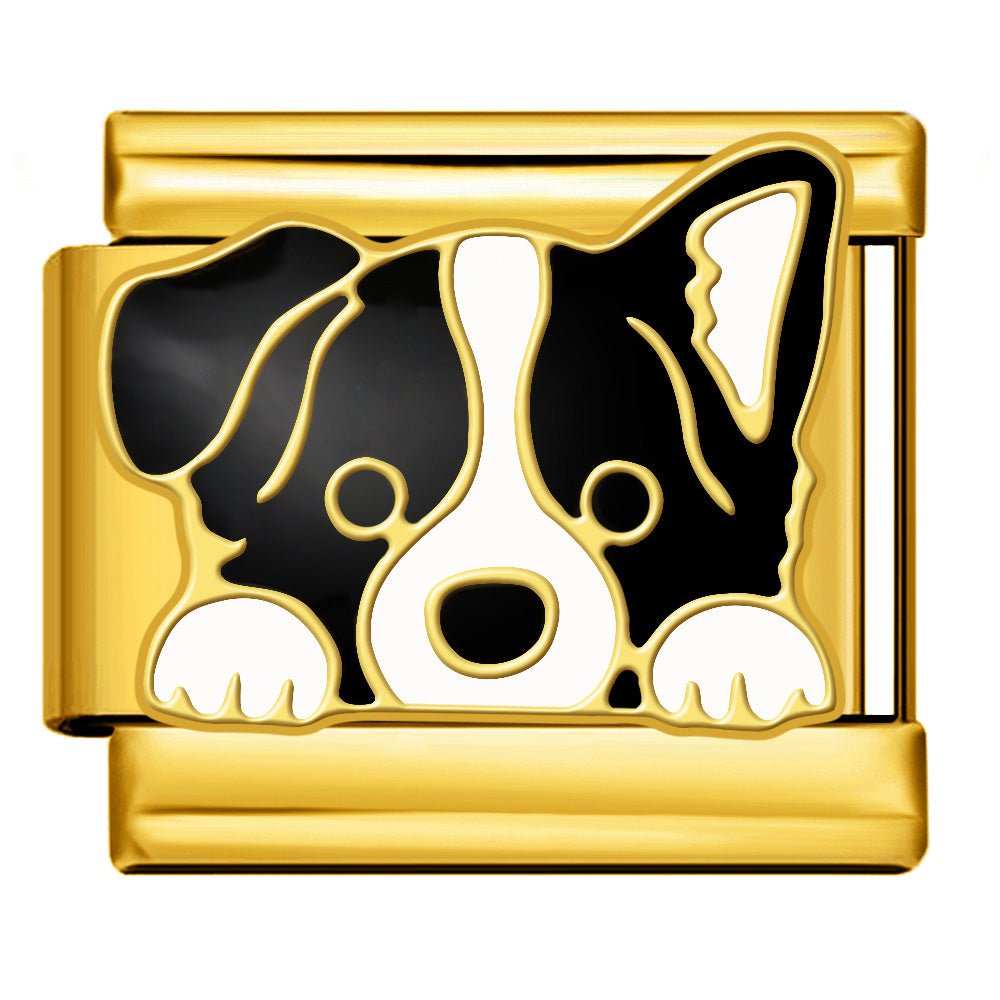 Chien