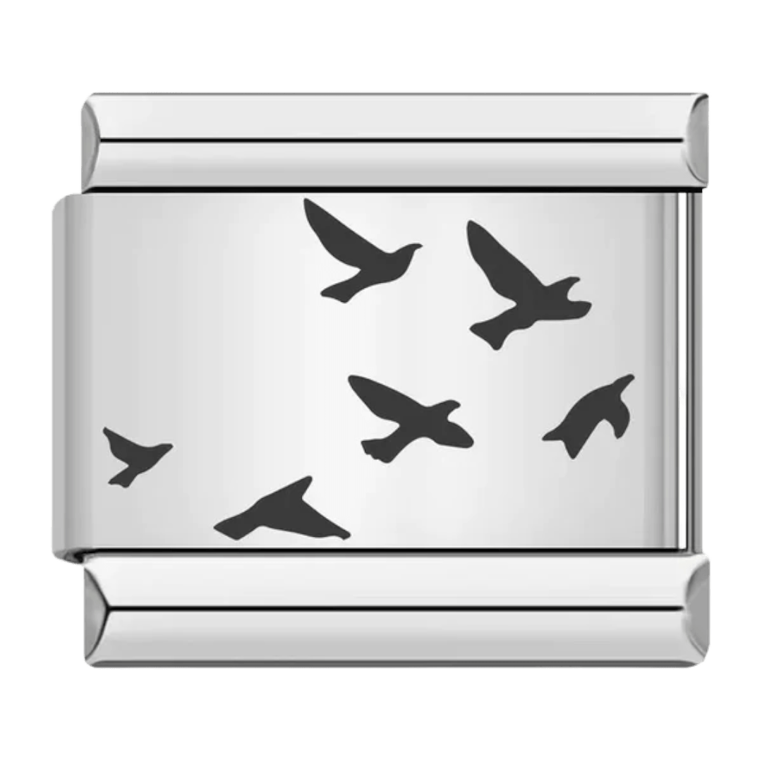 Oiseaux