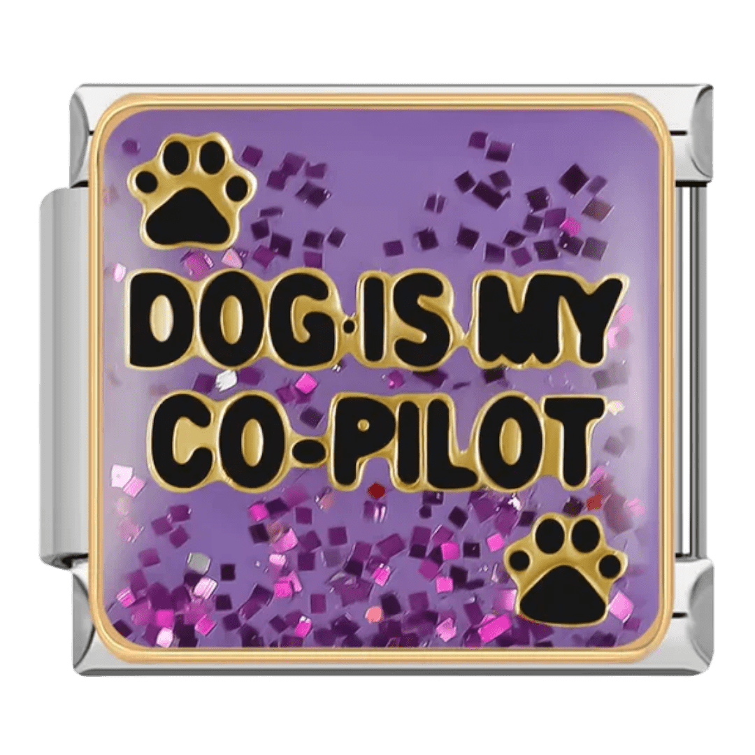 Mon chien est mon copilote