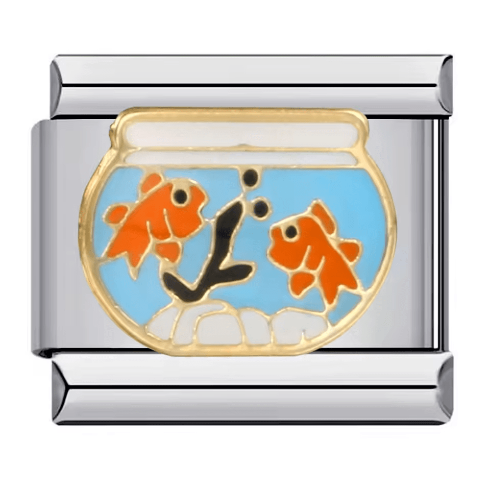 Poisson rouge dans un bocal