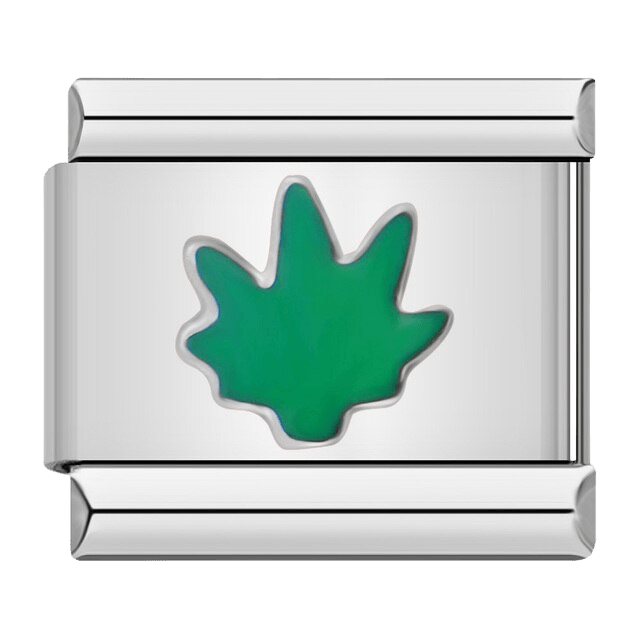 https://cdn.shopify.com/s/files/1/0942/8824/9110/files/Grass_Italian_charm_bracelet_link_featuring_green_enamel_9mm_stainless_steel_Italian_charm_from_Charmette_for_nature_inspired_personalized_charm_bracelets.png?v=1767754945
