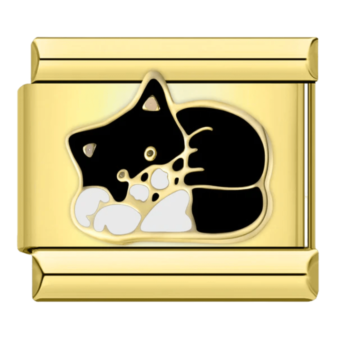 Chat