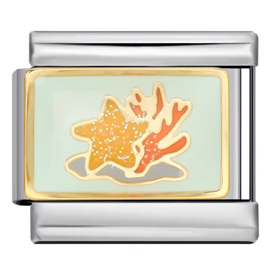 Étoile de mer et corail