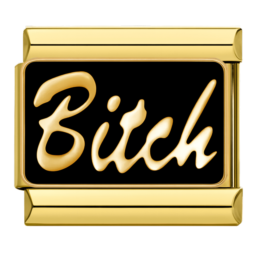 https://cdn.shopify.com/s/files/1/0942/8824/9110/files/bitch_text_Italian_charm_9mm_bracelet_link_Gold.png?v=1773108233