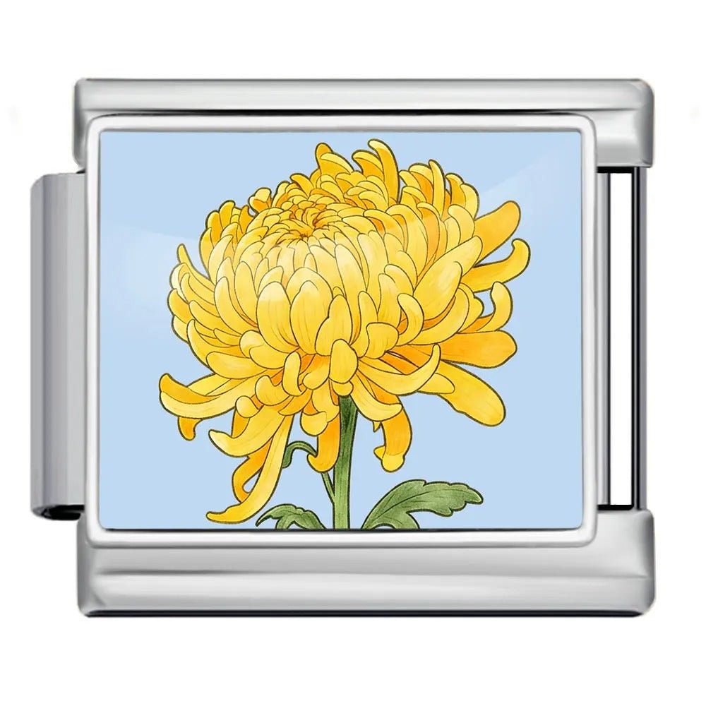 Chrysanthème