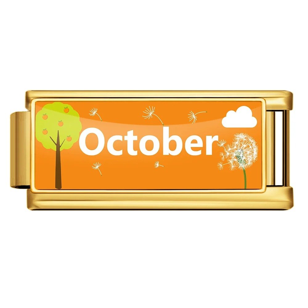 https://cdn.shopify.com/s/files/1/0942/8824/9110/files/october-italian-charm-bracelet-by-charmette-1142209.jpg?v=1779707200