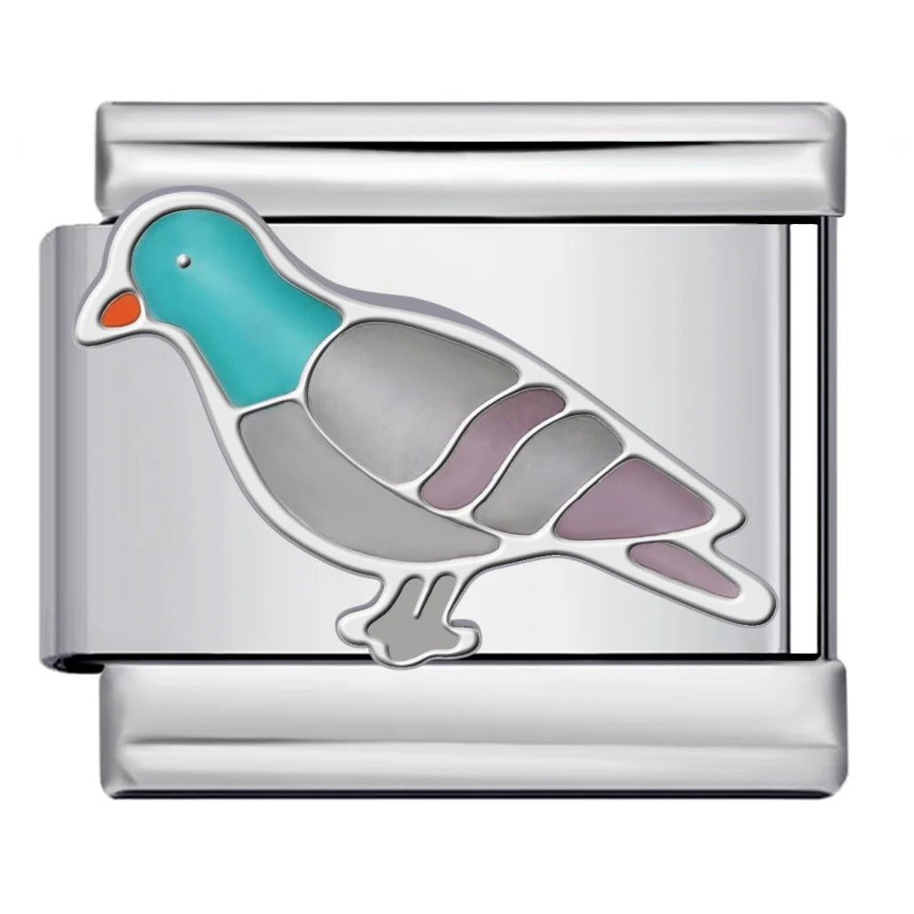 Pigeon