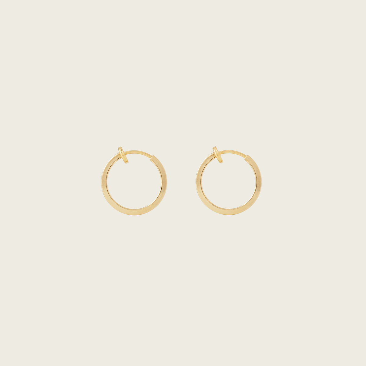 https://cdn.shopify.com/s/files/1/0569/3286/0096/files/AIORI_MiniHoop_Gold_1_2dcfa47d-b899-446d-aeed-c8d9bbbf0591.jpg?v=1754467902