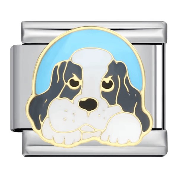 Basset Hound