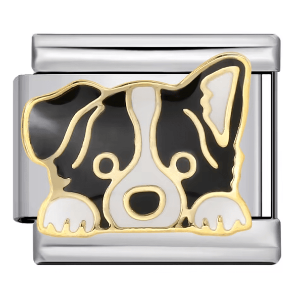 Chien