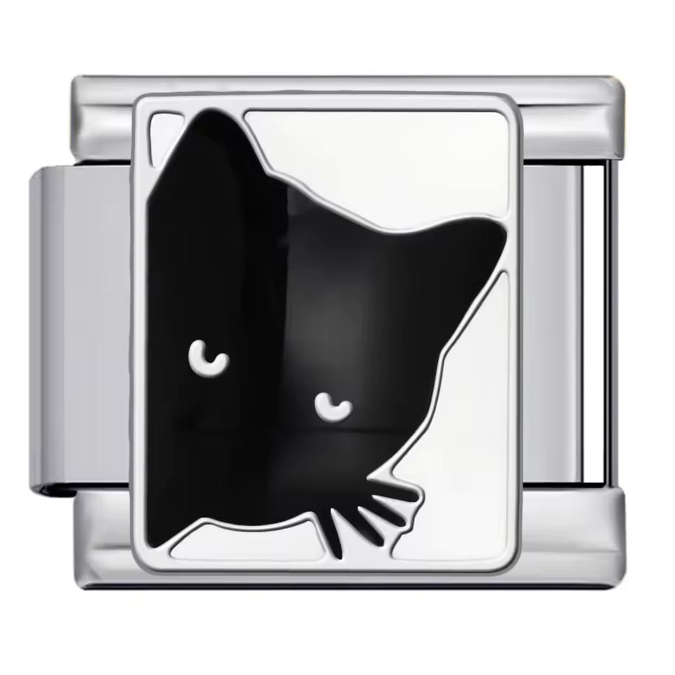 Chat noir