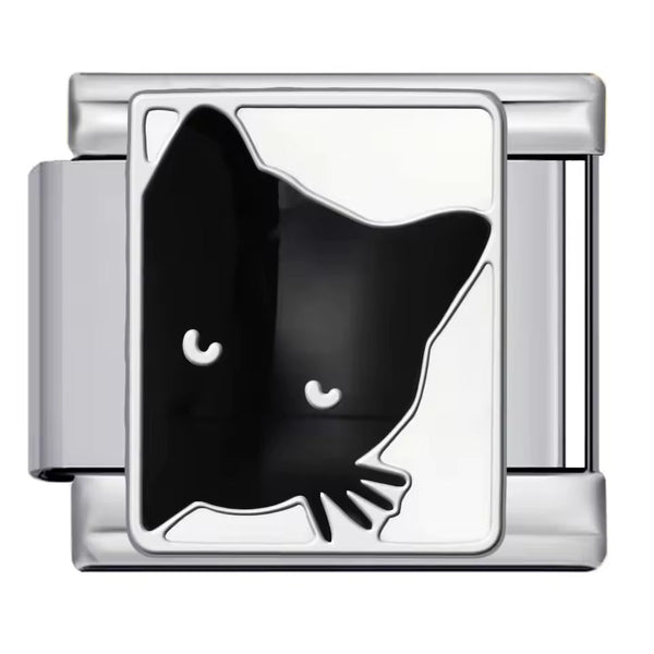 Chat noir