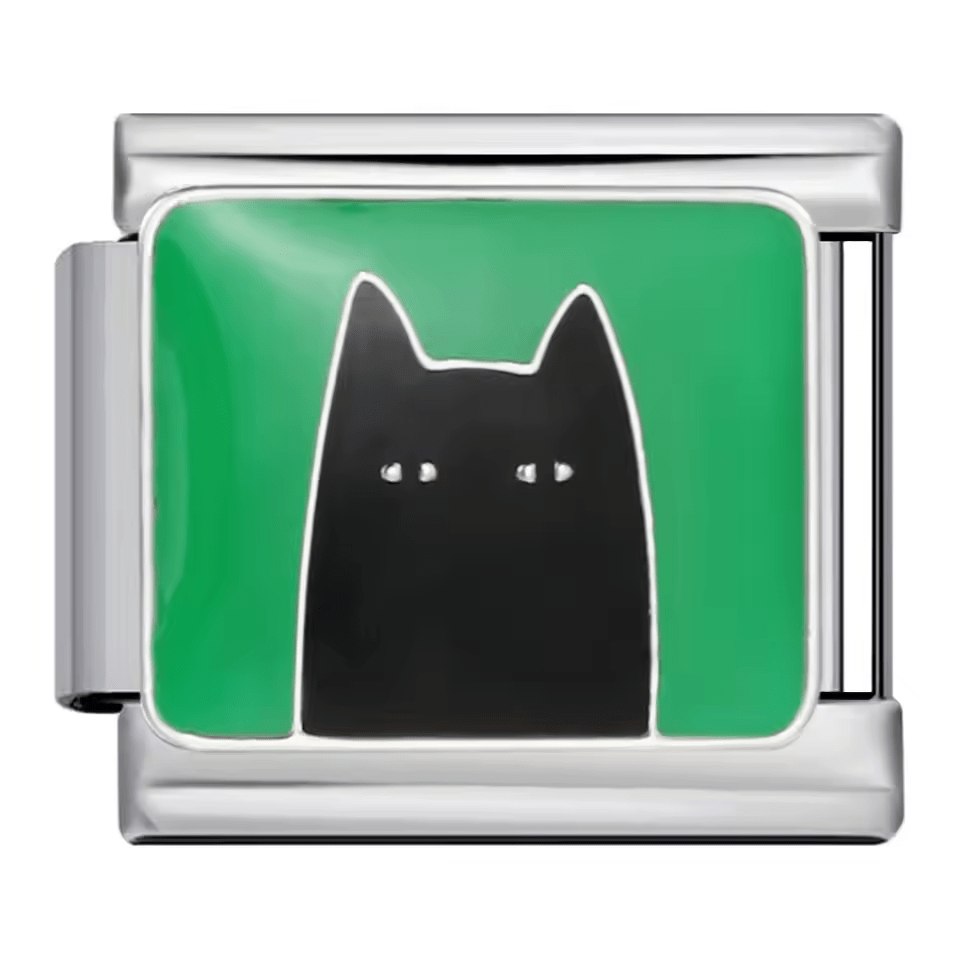 Chat noir