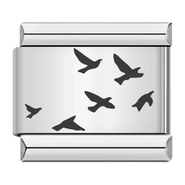 Oiseaux
