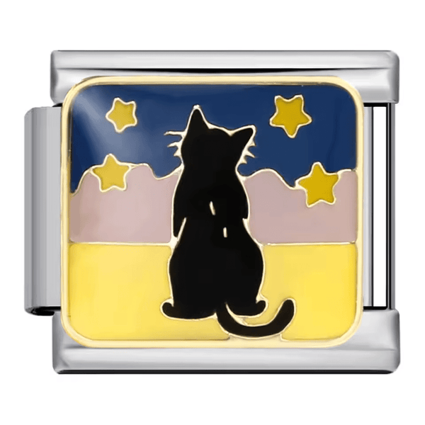 Chat et étoiles