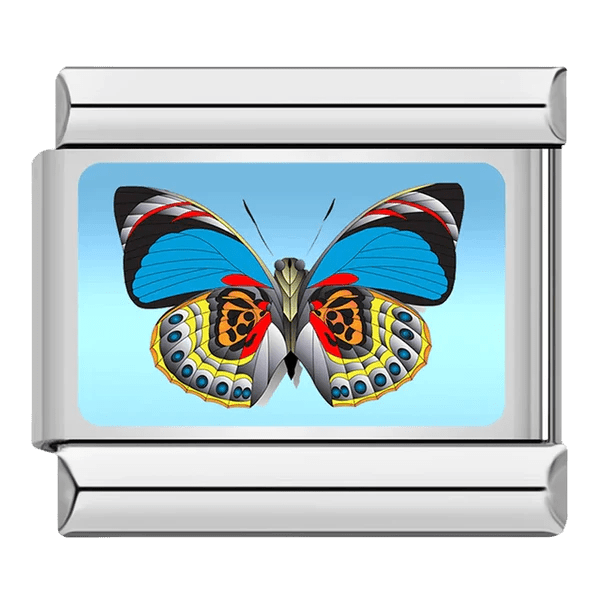 Papillon