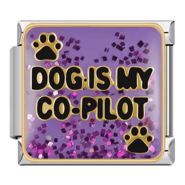 Mon chien est mon copilote