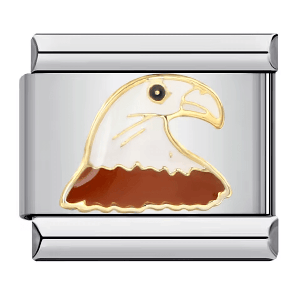 Aigle