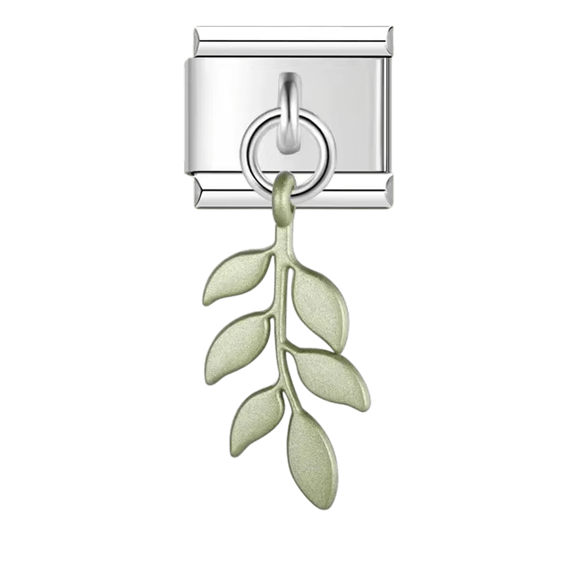 Fougère pendante
