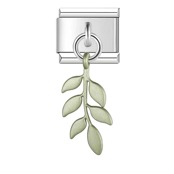 Fougère pendante