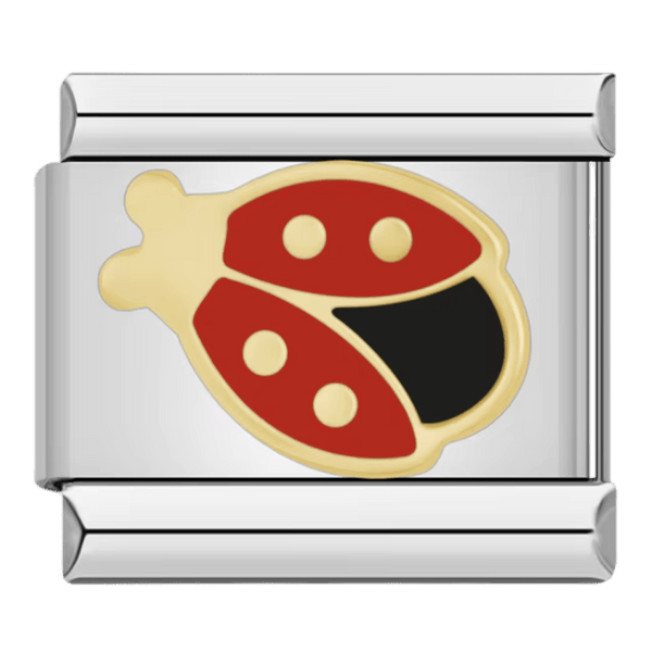 Coccinelle charm