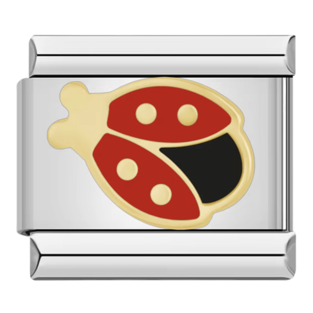 https://cdn.shopify.com/s/files/1/0942/8824/9110/files/Lady_bug_9mm_Italian_charm_by_Charmette_compatible_with_all_Italian_charm_bracelets.png?v=1767750891