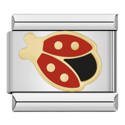 https://cdn.shopify.com/s/files/1/0942/8824/9110/files/Lady_bug_9mm_Italian_charm_by_Charmette_compatible_with_all_Italian_charm_bracelets.png?v=1767750891