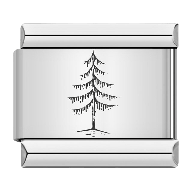 Pin