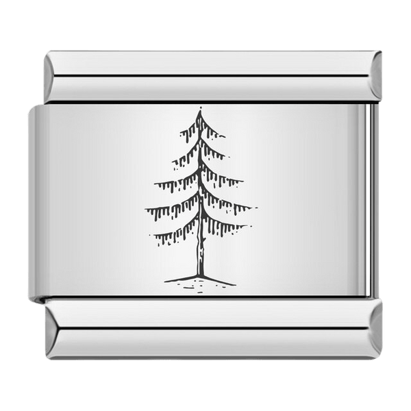 Pin