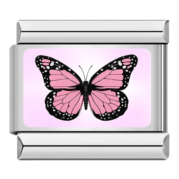 Papillon