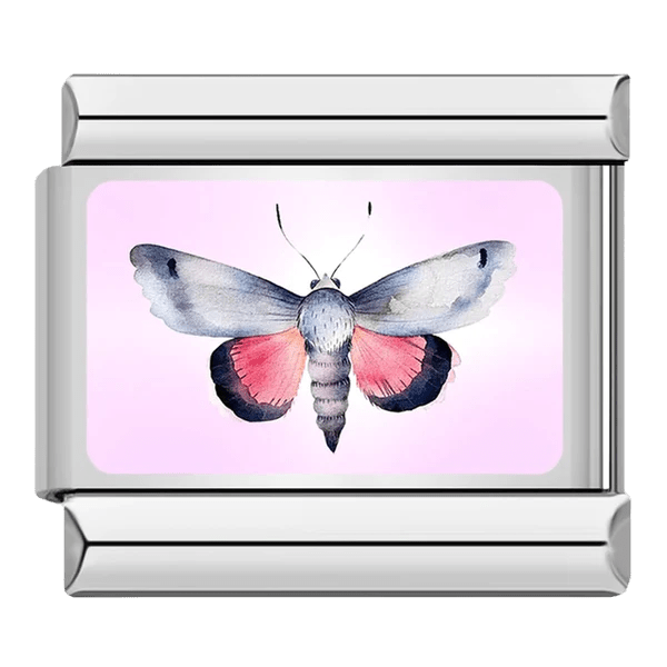 Papillon