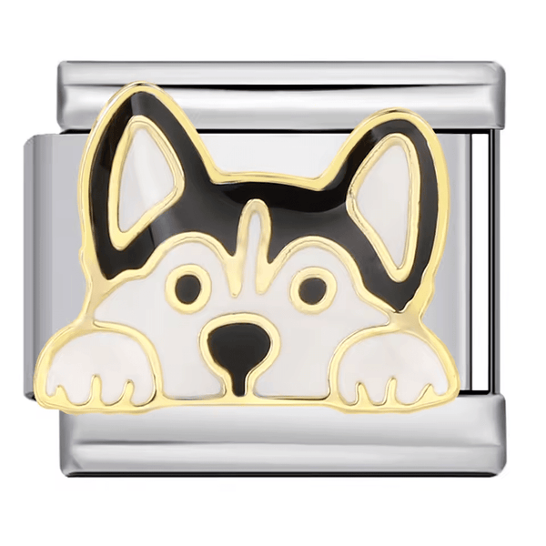 Chien