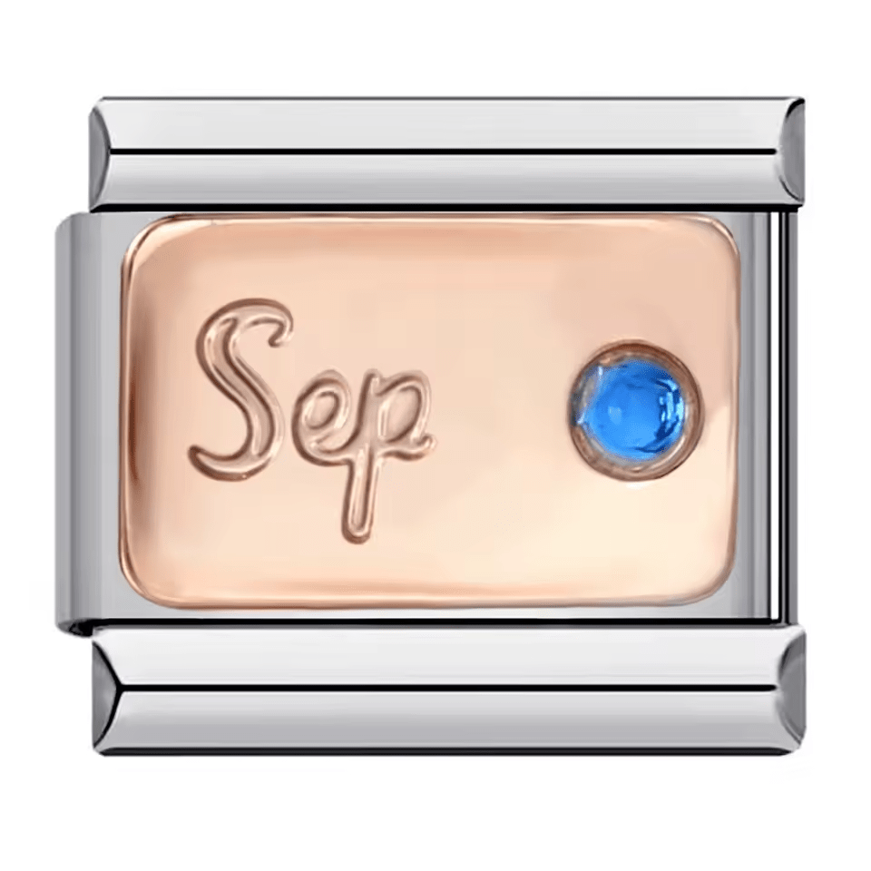 https://cdn.shopify.com/s/files/1/0942/8824/9110/files/September_birthstone_Italian_charm_9mm_with_blue_sapphire-style_stone.png?v=1769573251