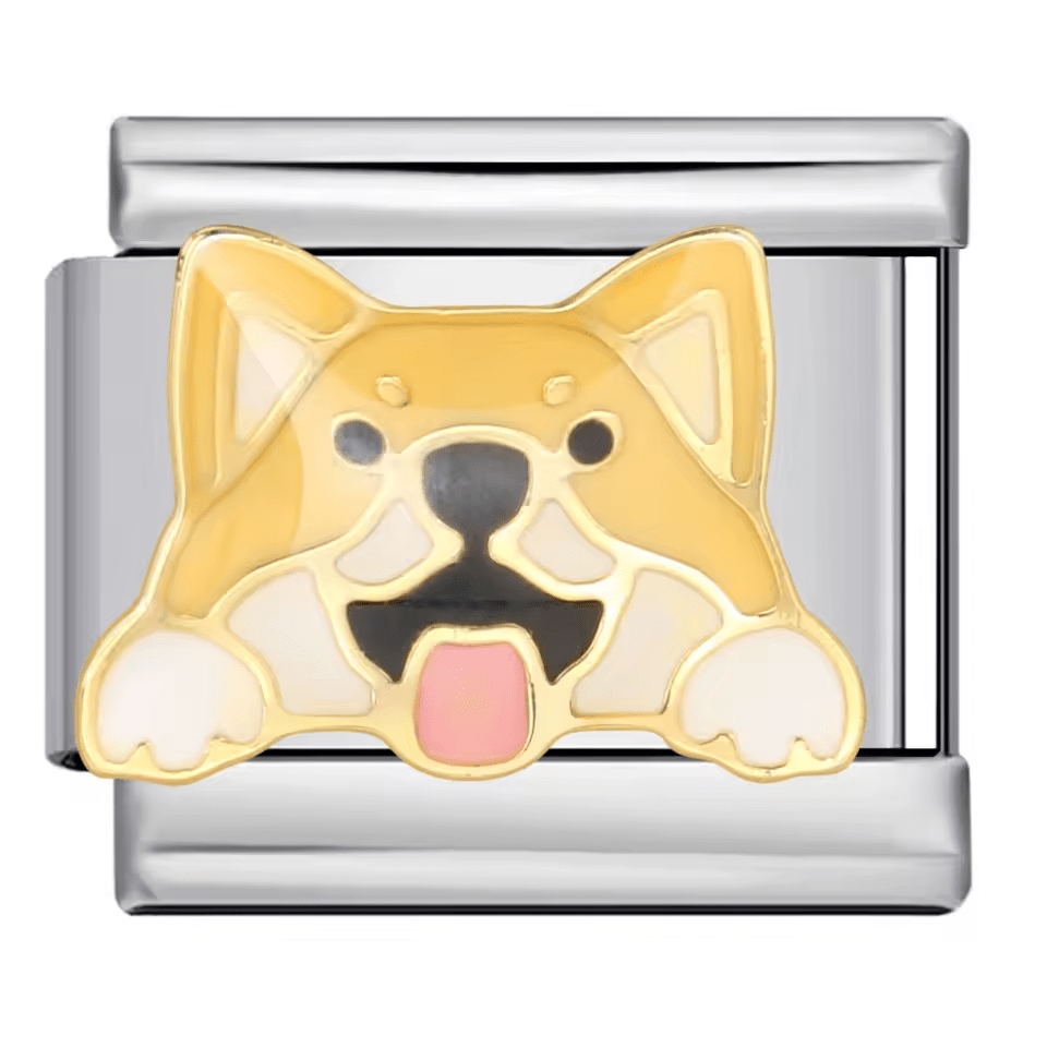Shiba Inu