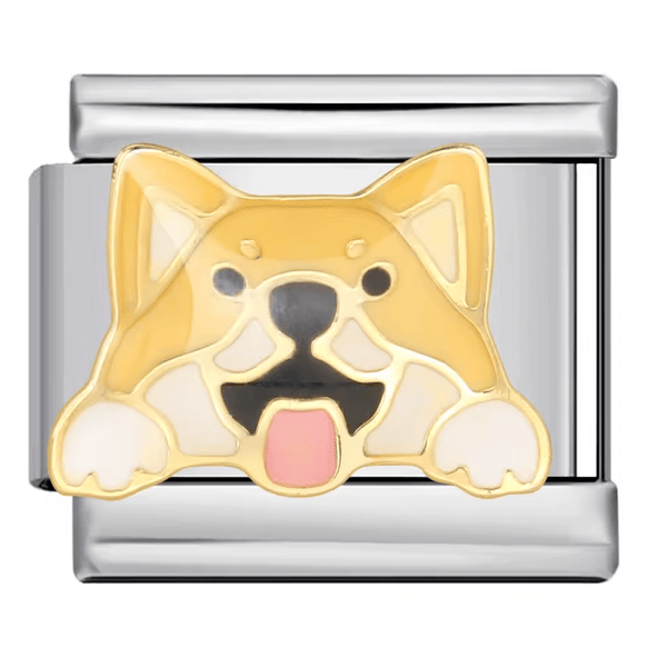 Shiba Inu