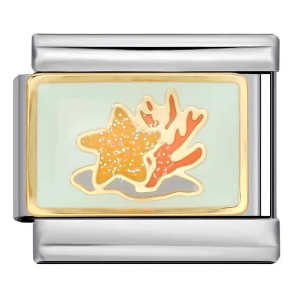 Étoile de mer et corail