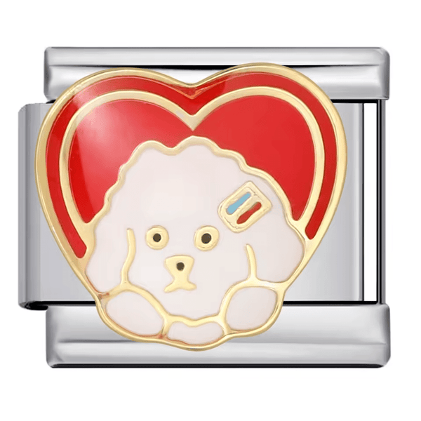 Caniche amoureux