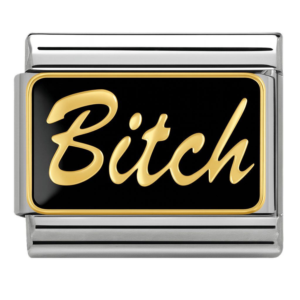 https://cdn.shopify.com/s/files/1/0942/8824/9110/files/bitch_text_Italian_charm_9mm_bracelet_link.png?v=1773108178