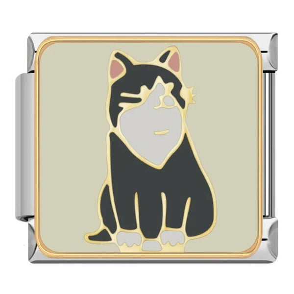 Chat noir et blanc
