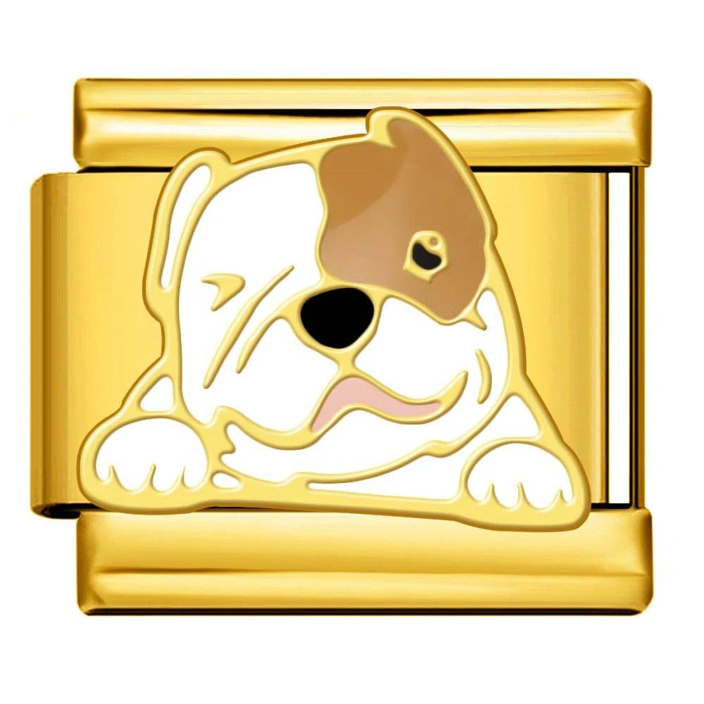 Bouledogue