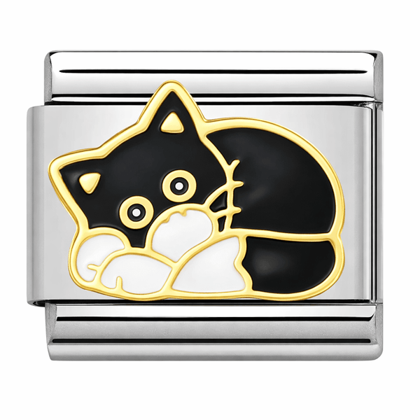 Chat