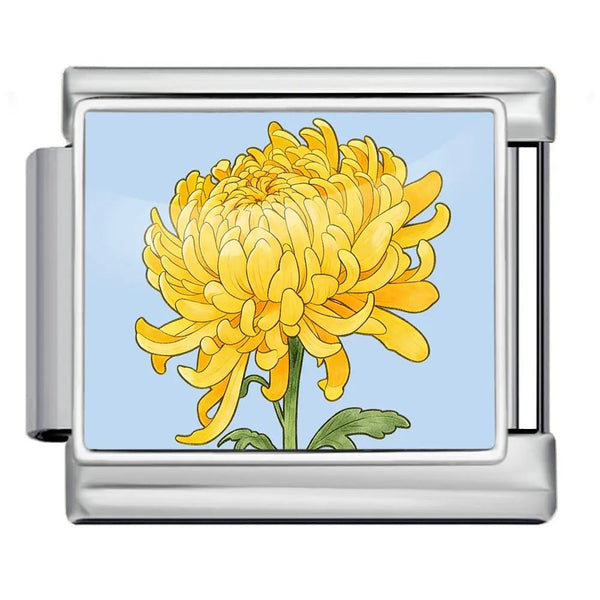 Chrysanthème