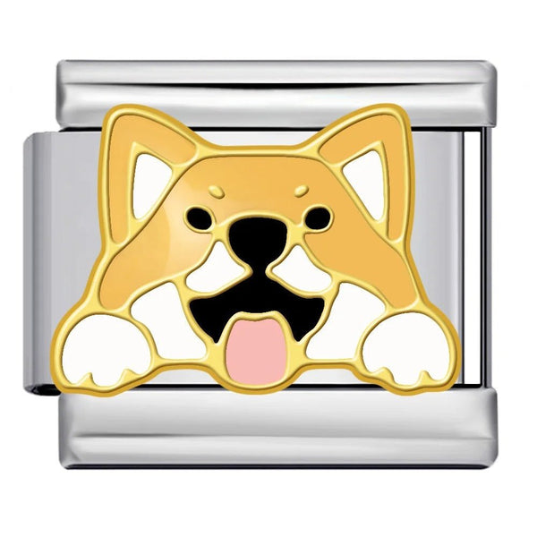 Corgi