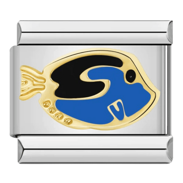 Poisson chirurgien