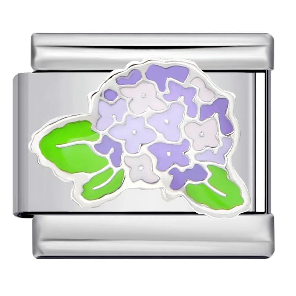 Hydrangea charm