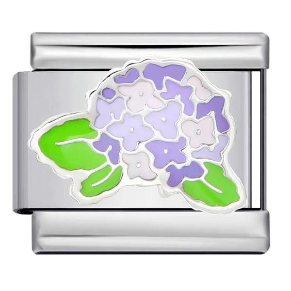 Hydrangea charm