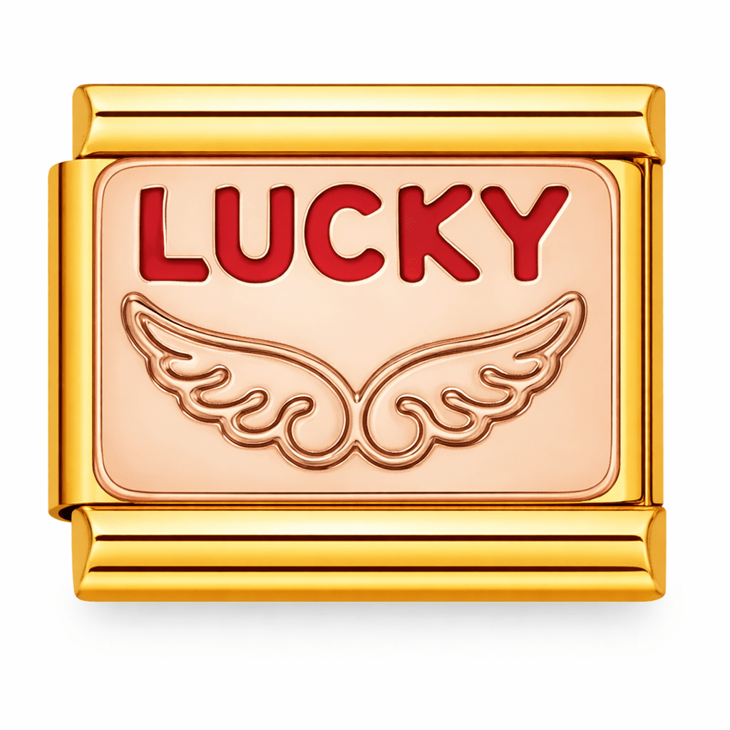 https://cdn.shopify.com/s/files/1/0942/8824/9110/files/lucky-italian-charm-bracelet-by-charmette-7615960.png?v=1773776171