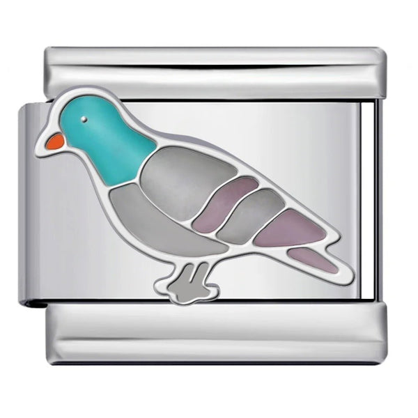 Pigeon