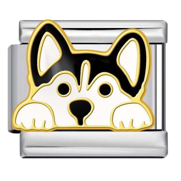 Husky