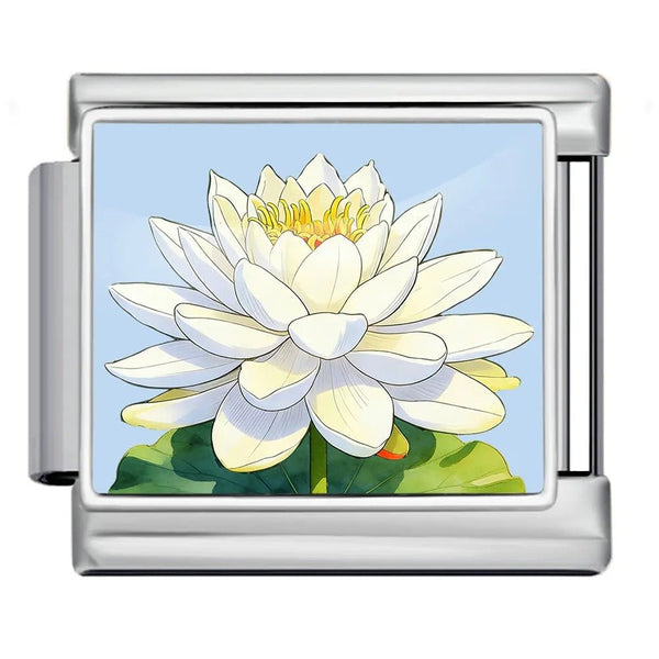 Nénuphar